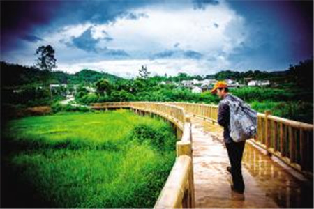 云南成人高考錄取之正式志愿填報和志愿確認(rèn)的區(qū)別是？