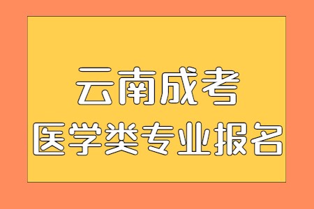 云南成考醫(yī)學類專業(yè)報名