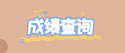大理成人高考成績查詢