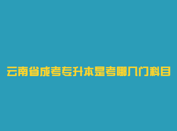 云南成考 云南省成考專升本