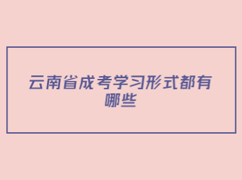 云南省成考學習形式