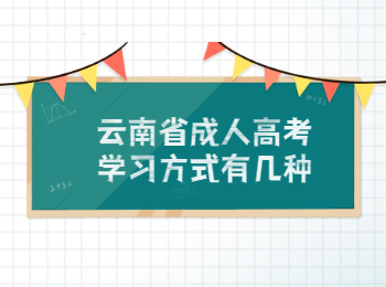 云南省成人高考學習方式