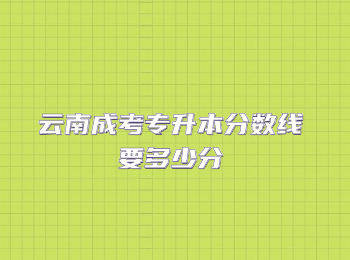 云南成考專升本分?jǐn)?shù)線