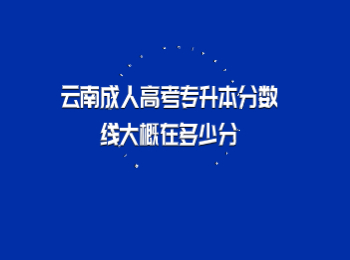 云南成人高考專升本分數(shù)線