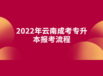 云南成考專升本報考流程