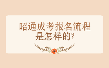 昭通成考