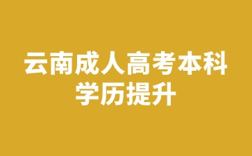 2024年云南成人高考本科畢業可以繼續讀研嗎？