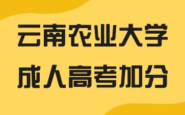2024年云南農業大學成人高考報名有加分嗎？