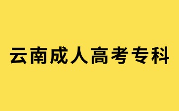 2024年云南成人高考?？茍竺枰U納多少費用?