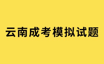2024年云南成考高起點英語練習題及答案(2)